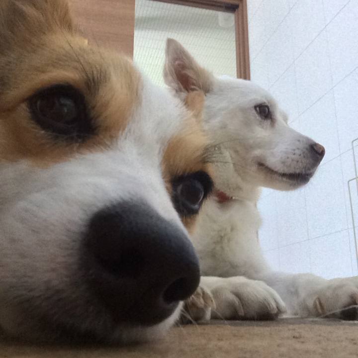 D497e60d 35ba 4af0 9bf0 d9234ef3d61e