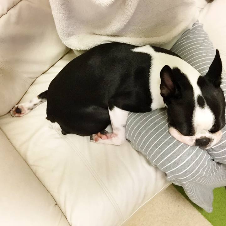 D4982d0f f6b3 4c2f ad02 0421e2cf05ec