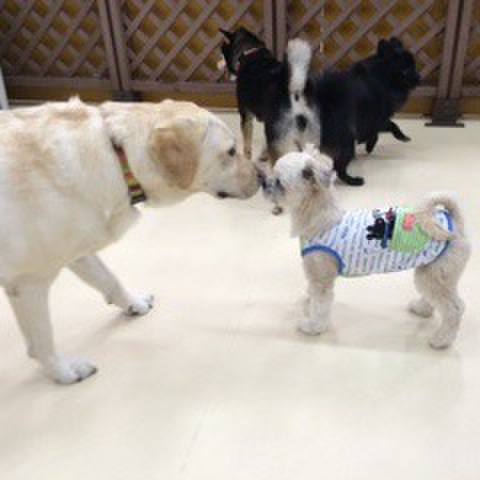 D498d310 29cd 4117 a5cf 8fd0fab18e42