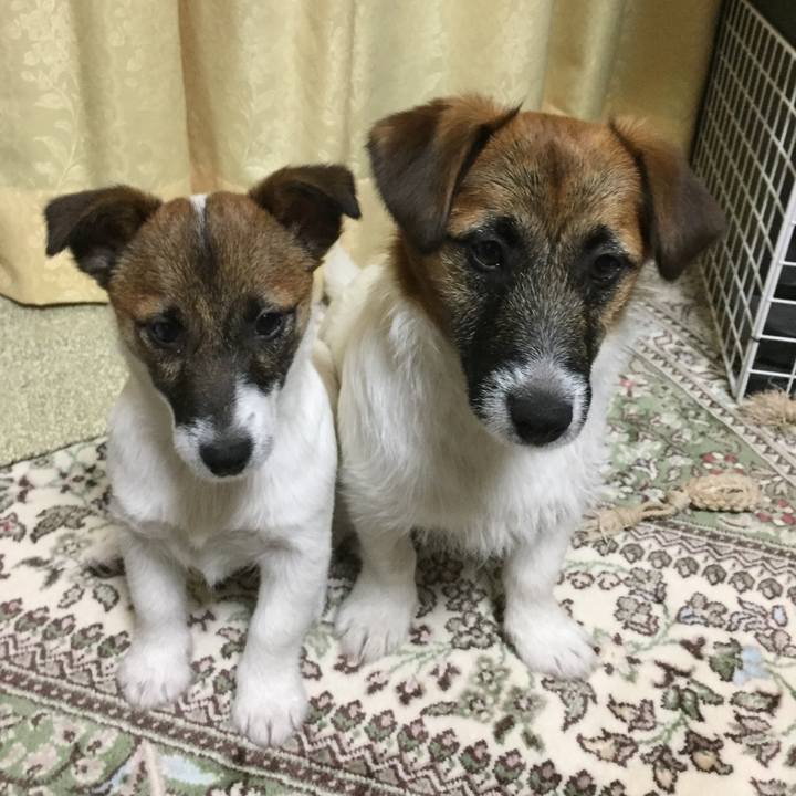 D4991dd3 c212 4943 a659 00ca38e0dcaa