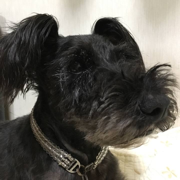 D49964be ed49 420a 9ddc bb22bb2abcdd