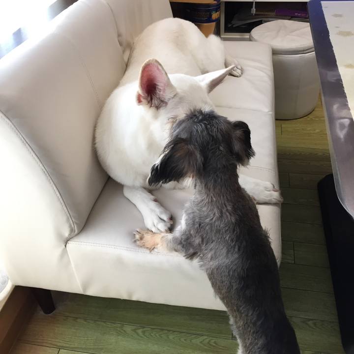 D499b3b8 7622 4bbe bfdd 657f69bf3f8d