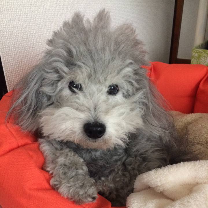 D499e3d7 5914 44c5 b072 6545ec1217fb