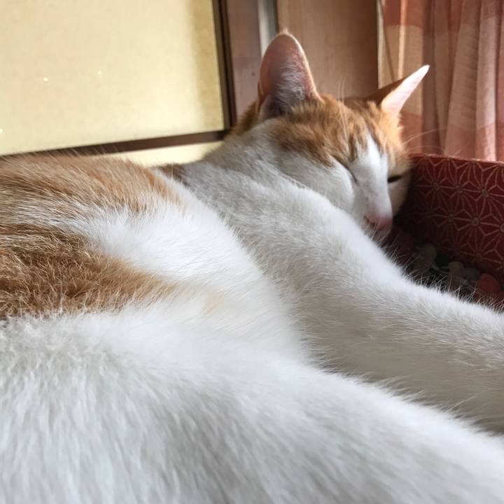 D49a6dd9 f018 4750 9c6e abd1075cf5e4