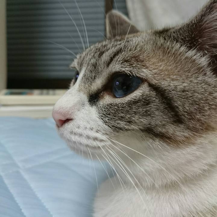 D49ac080 0dc5 403e b201 93c8103f9e3e