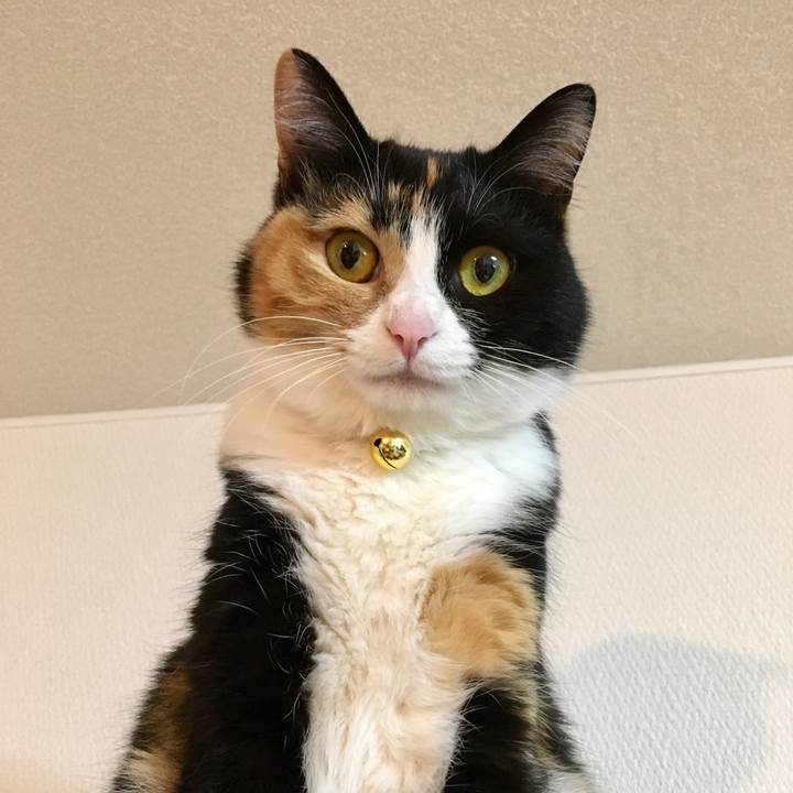 D49b1286 4657 414b b790 df685edaf809