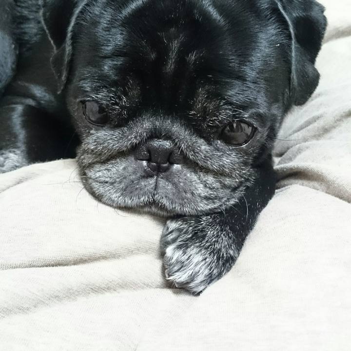 D49b5ed2 928a 467d 94e6 a5ed7b1698d3