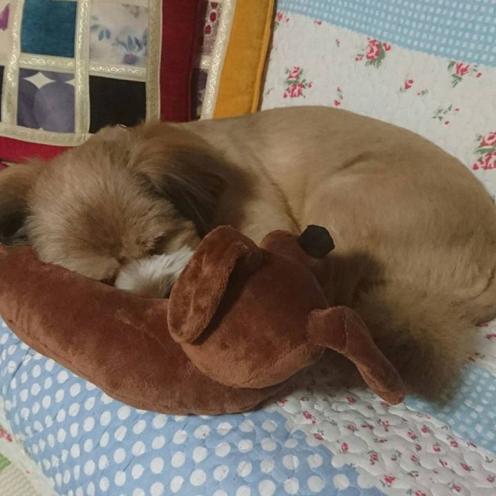 D49b8c44 5049 4075 a85c 50f233bb650c