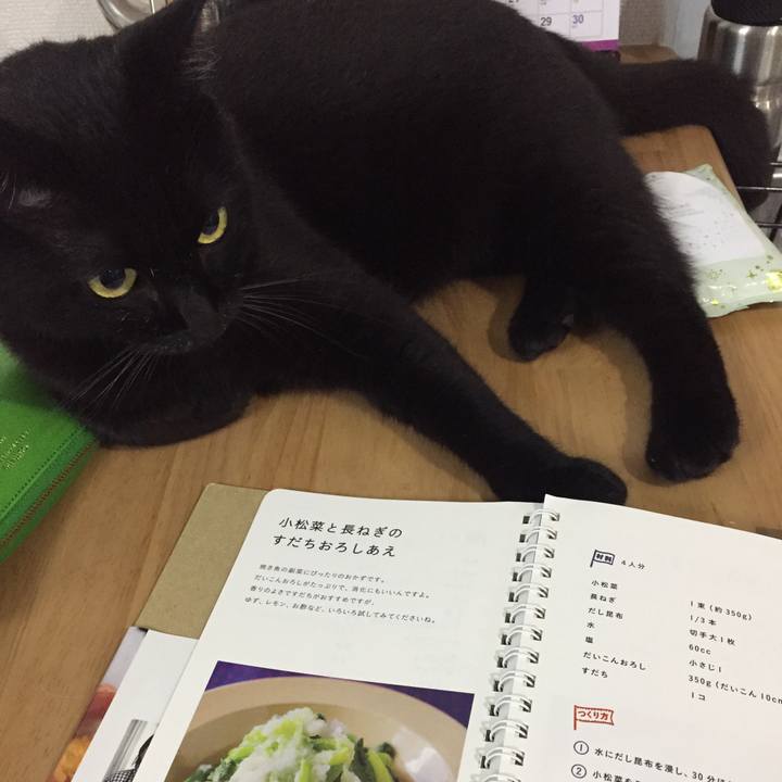 D49bef82 6ef8 4c44 9224 4fd13dbe7d22