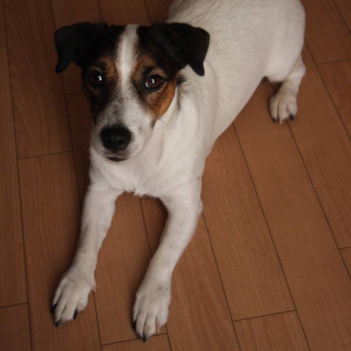 D49c4bb2 ade8 4c25 bbe8 c21f021bded4