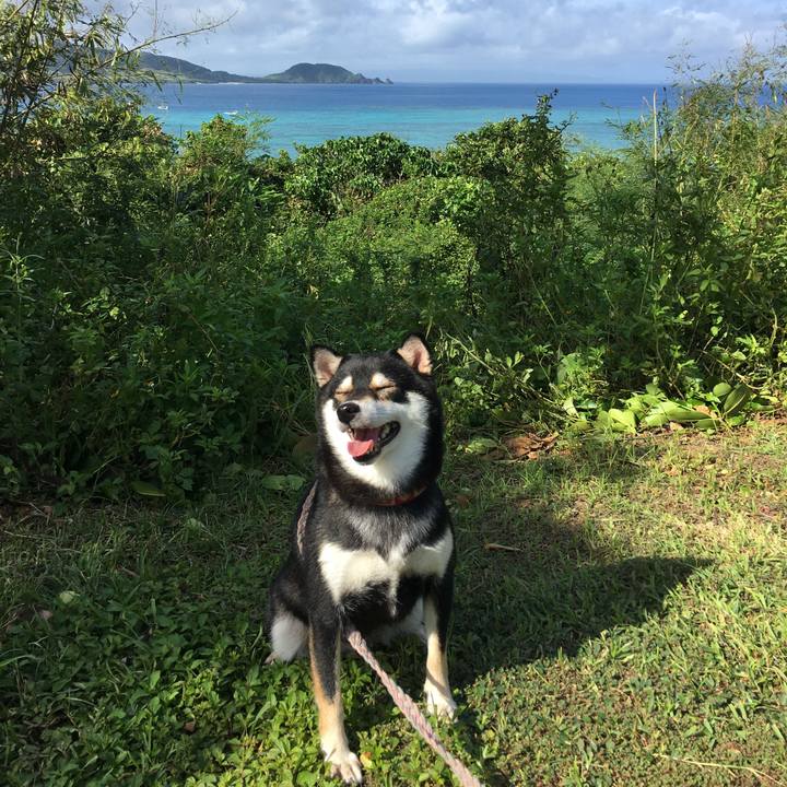 D49c7ff1 7eed 4f72 a491 ba4e44a777fd