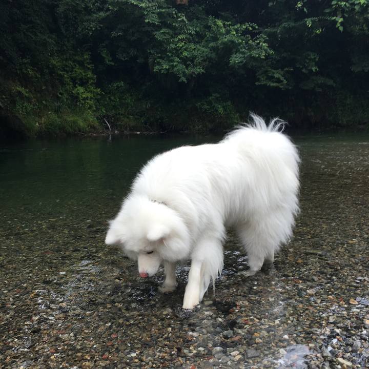 D49cc265 9225 4268 86e1 2428370ae7c7