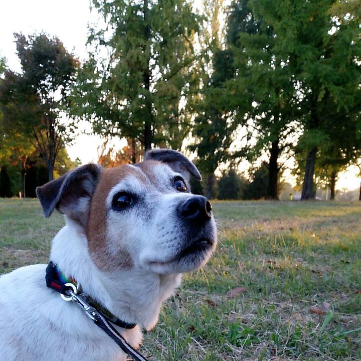 D49cc4c4 de59 46e8 8cd6 3d49381b793c