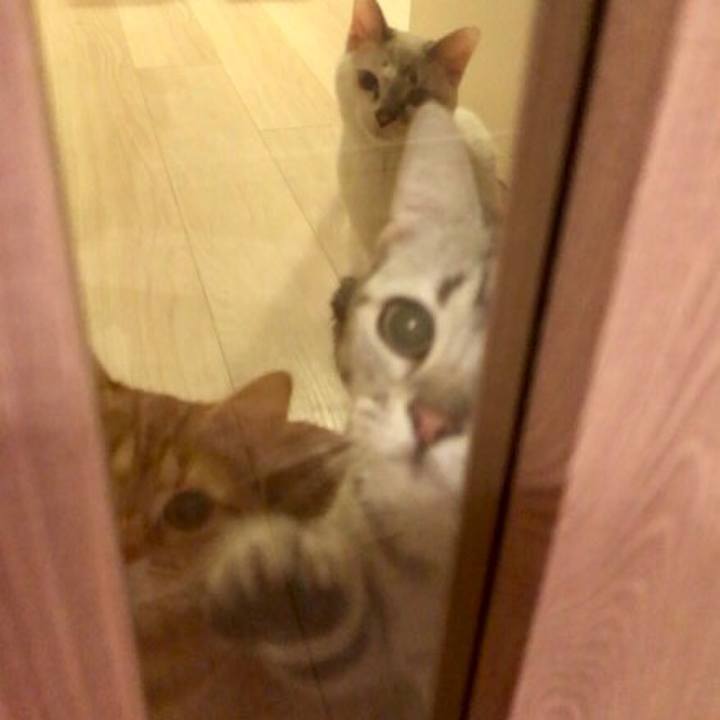 D49cca5d d66c 4e48 bc96 f0324c2034e0