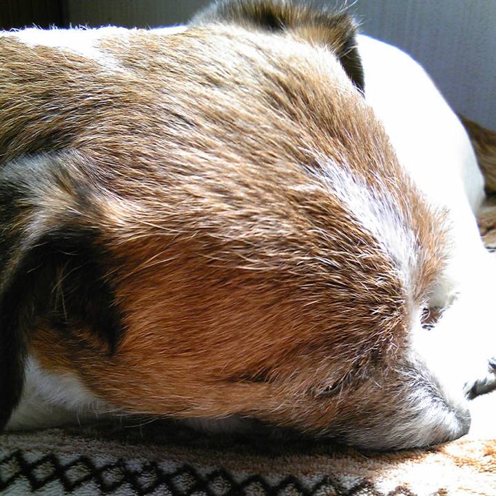 D49ce18d ecc7 40b9 8100 19f1771dda53