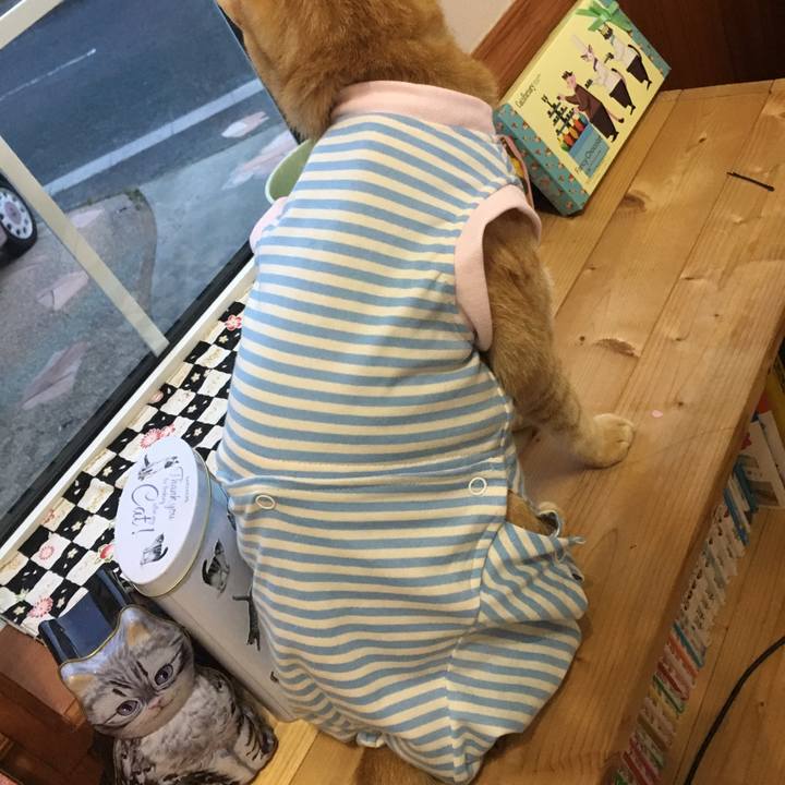 D49d7889 59dd 459f aa10 29aef3a43f9b