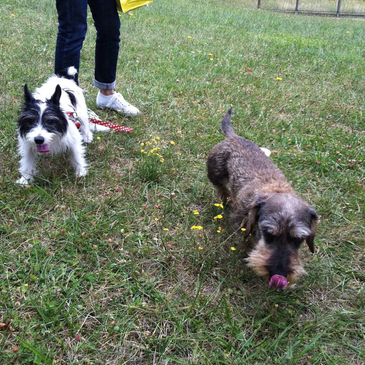 D49e5d15 7bf5 40bc 8e9f 7b58944f1f77