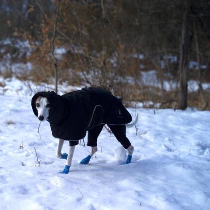 D49f3247 e41b 430e 9aa9 01ee10b4b2a2