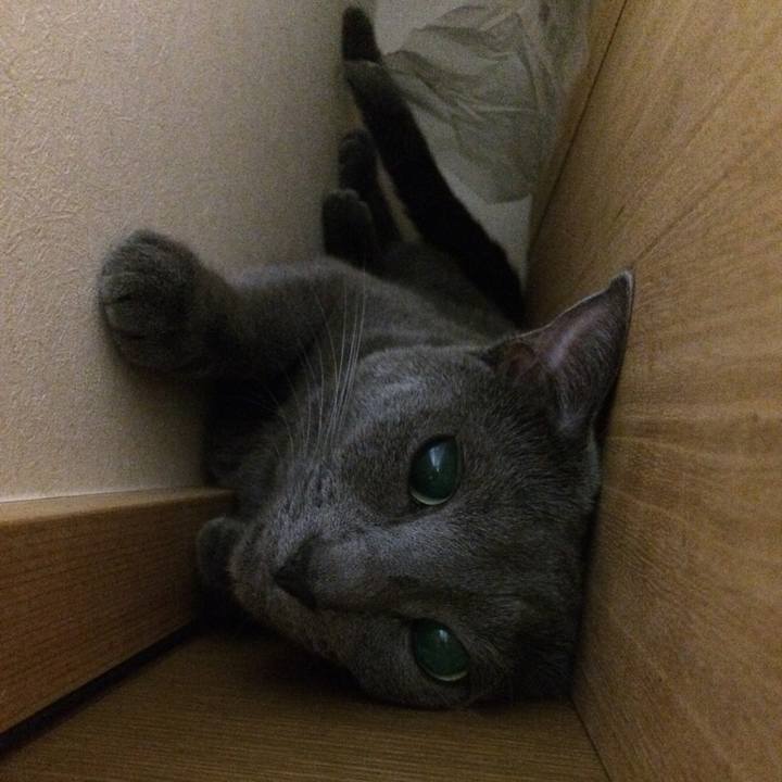 D49fc045 c37b 4455 826e 308c4cdd95ca