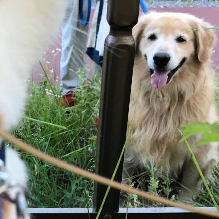 D4a00b95 31e8 4ce9 ad88 4b168e1c8a9d