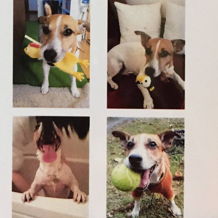 D4a07f74 52dd 4a85 a92b a0bfb2b12581