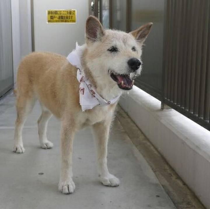 D4a08f8e 9cd8 4f6c 8284 f66a53438d9e