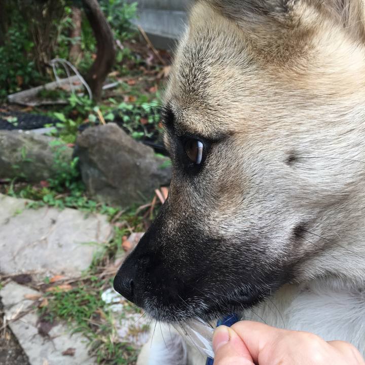 D4a0f77b 91ef 4559 b658 92027fd3447d