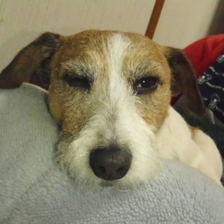 D4a10e48 6f39 48ec 85ff 94a0caab445e