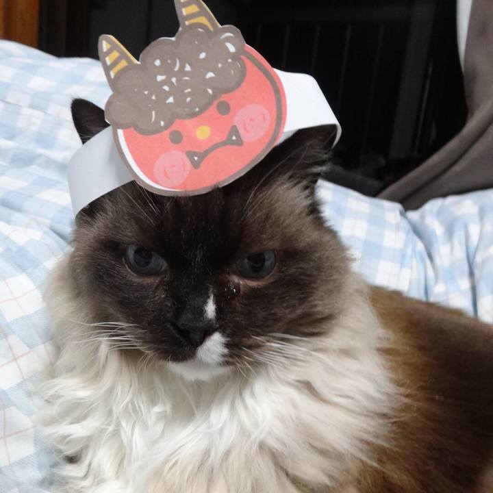 D4a1ef35 18ba 457a 90ac 4b9723e7fcad