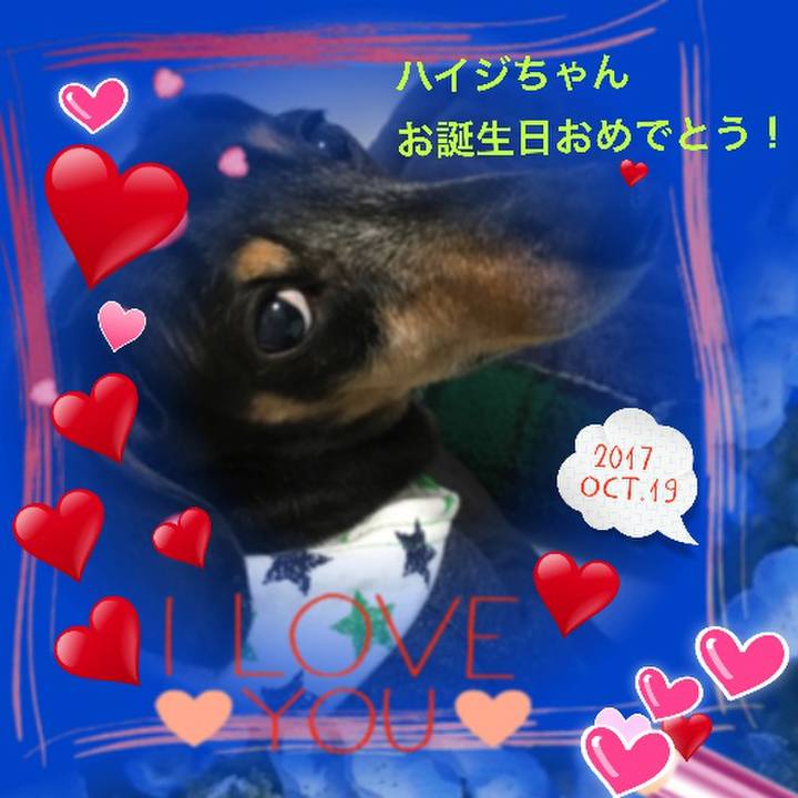 D4a1f89e 8bcb 440f 9ec4 260443ecb4cd