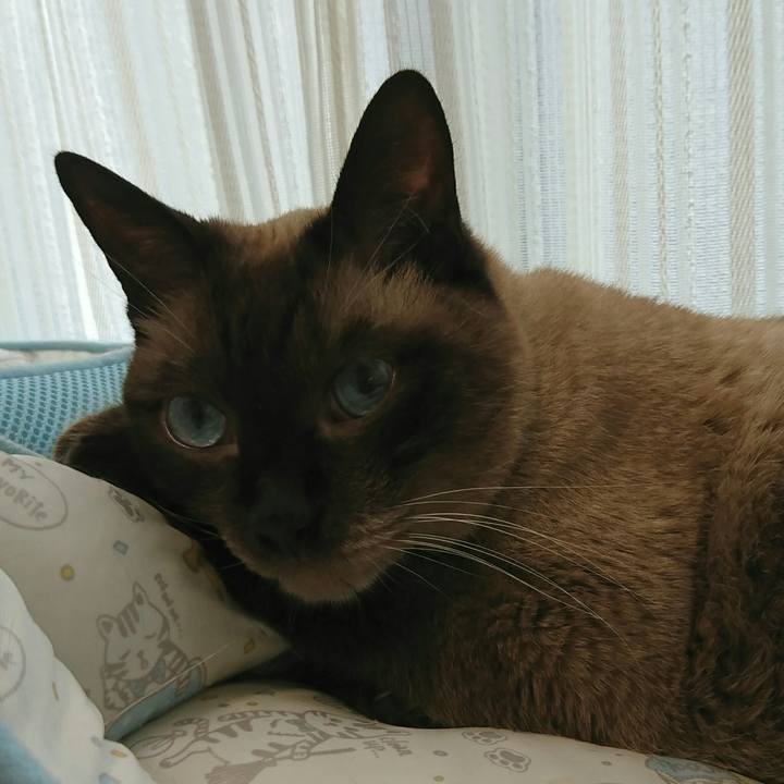 D4a28330 7308 4c0d bb07 2ae7dea1ab91