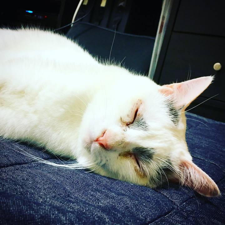 D4a2b55d e998 40ec 828e d4a35eadc625