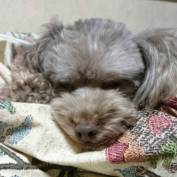 D4a2e717 2b97 4509 b189 fcfcebe521f2