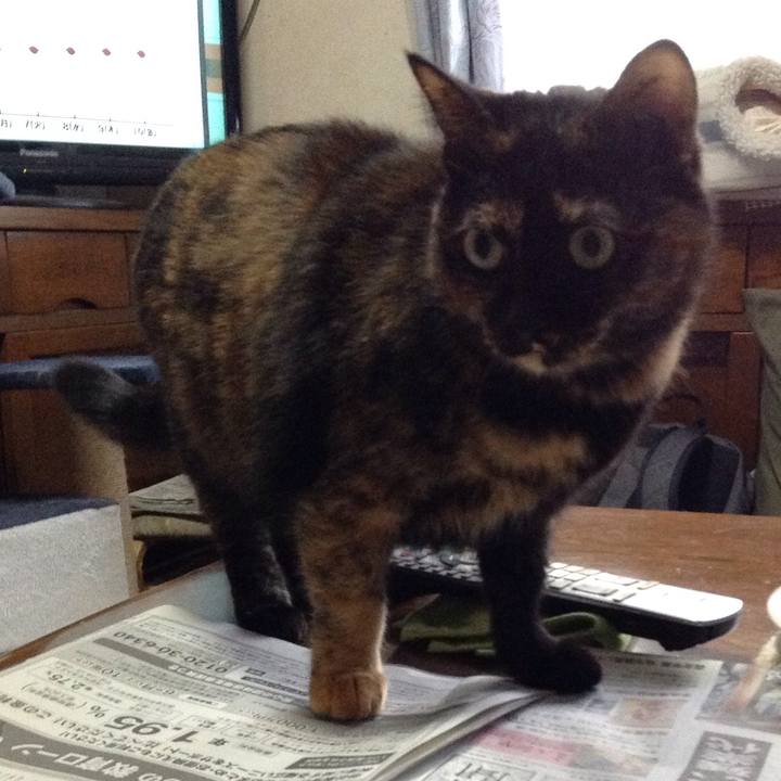 D4a33f75 a8ab 4a51 9a2f e67c3f6349db