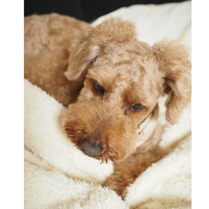 D4a35938 e9c9 46d4 920b ad89a8681983