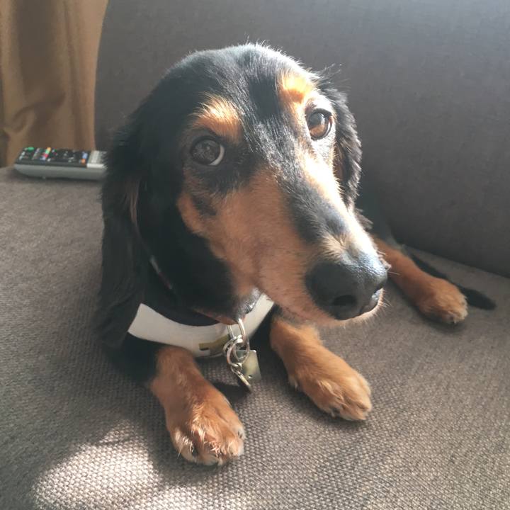 D4a36106 207b 49b7 88a8 89fd53e80229