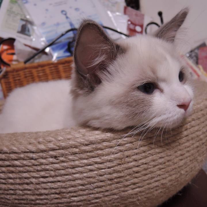 D4a41876 1f23 4ed9 82da e4141f30cc37