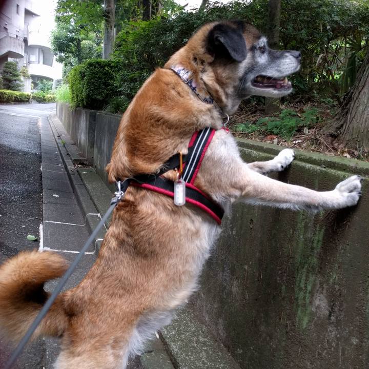 D4a41cf6 222b 40a5 9ec7 27c1da60b7ca