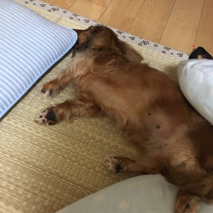 D4a53482 29d4 4e83 80c7 484c0f5cec97