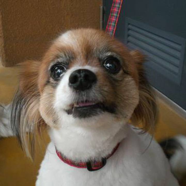 D4a65c5a fd7c 4e55 870b cb5dfe05b4fb