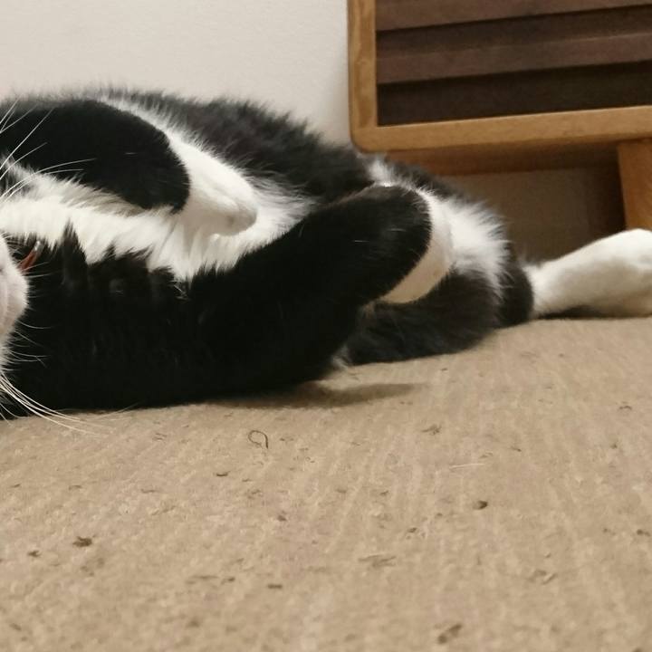 D4a67705 5edc 40b4 8be3 40c32f22d25d