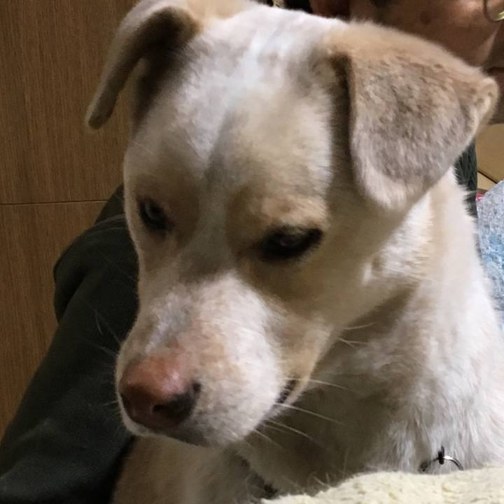 D4a6fbab 96c0 4836 bdb1 dfdd78a1d4c3