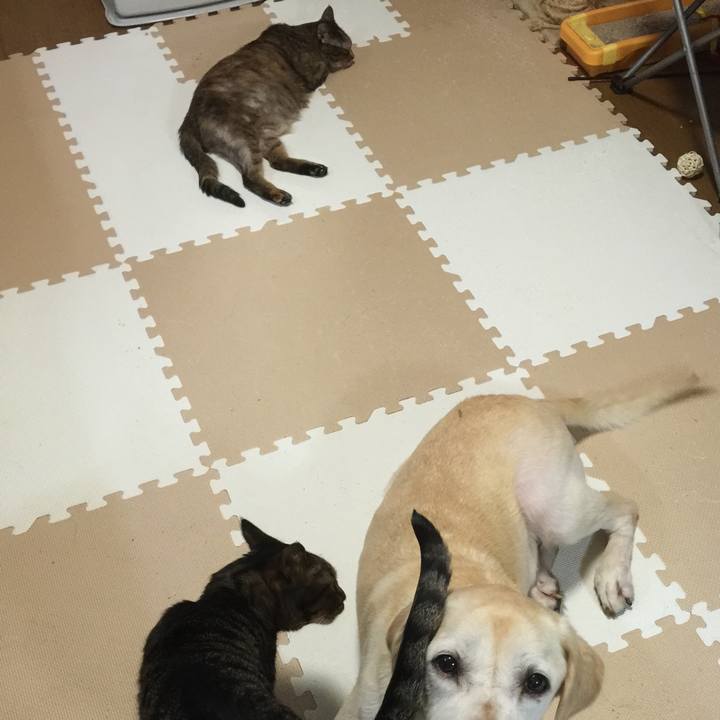 D4a73a98 1e64 4a6d a801 c984ebefdc2b