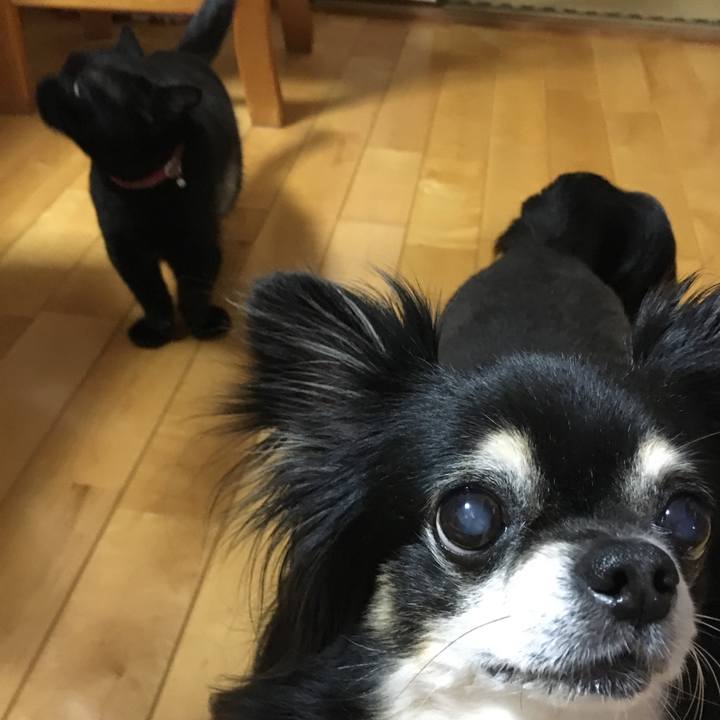 D4a8211d b05d 47c5 8372 21956865b7eb