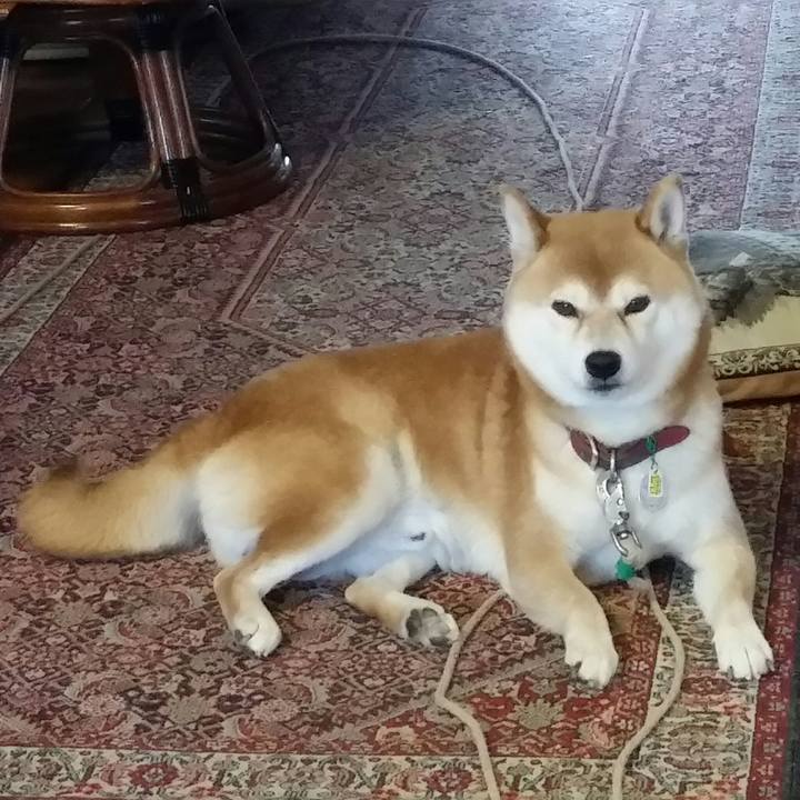 D4a8292e 19c4 47ea a900 73150671f090