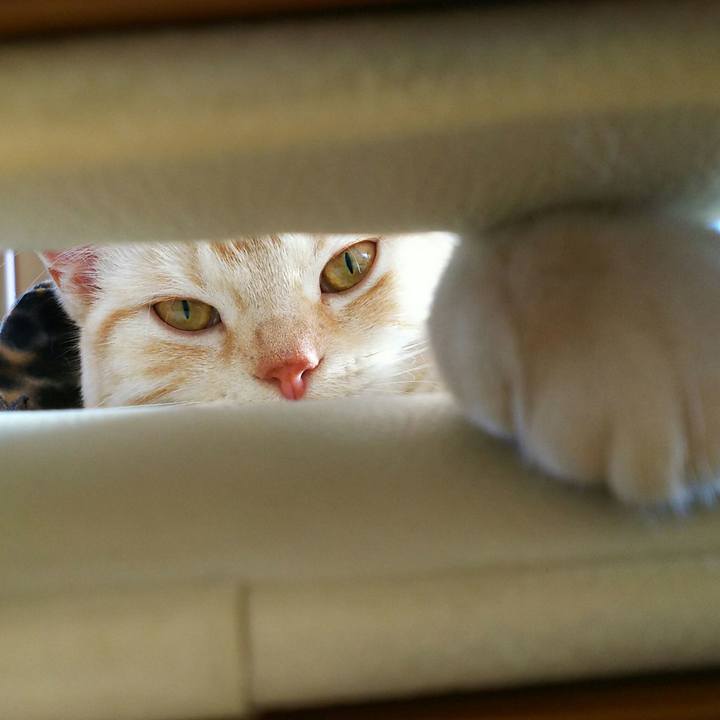 D4a8677f e3b8 473b a899 dd007fb0a906