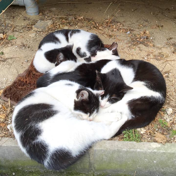 D4a94687 85f9 47b9 83dc 9d2819164f86