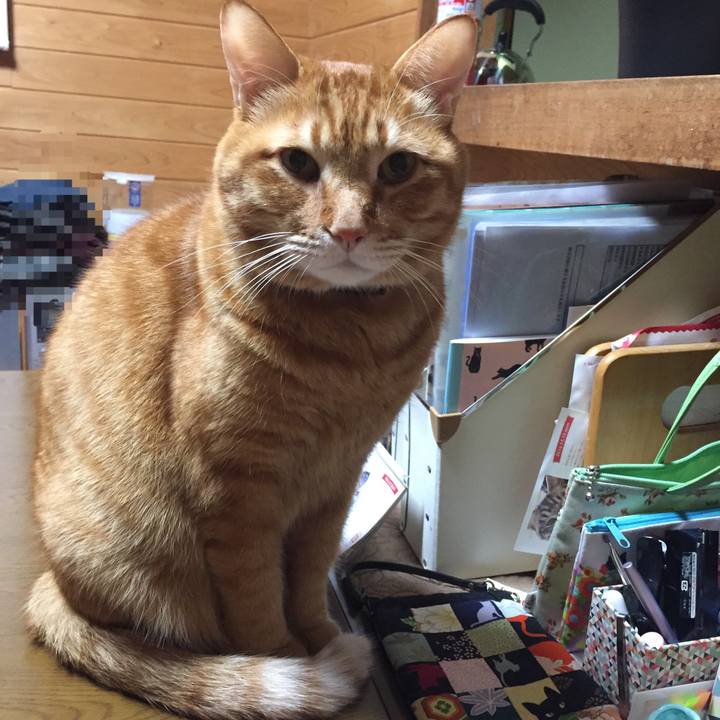 D4a9e202 cde1 45e1 9deb 5458af8e59bd