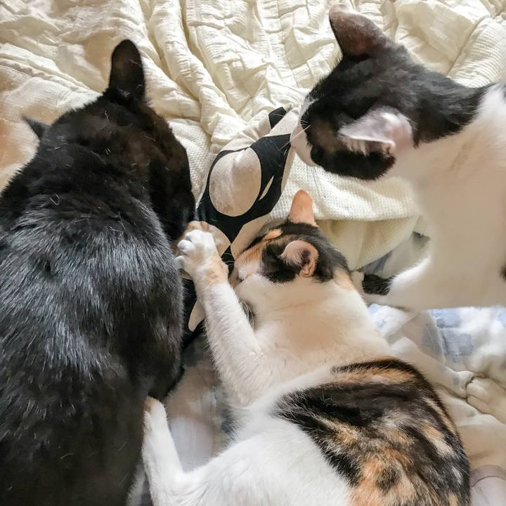 D4abb9a6 f37d 46fc 80f3 b6d4530bb8b8