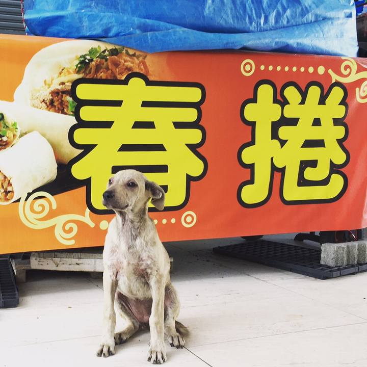 D4abedeb b9f6 4bcc 9938 9e3dfcd95be7